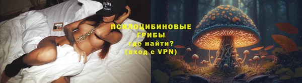 молекула духа Михайловка