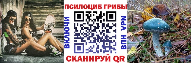 наркотики  MEGA маркетплейс  Псилоцибиновые грибы Psilocybine cubensis  Ивантеевка 