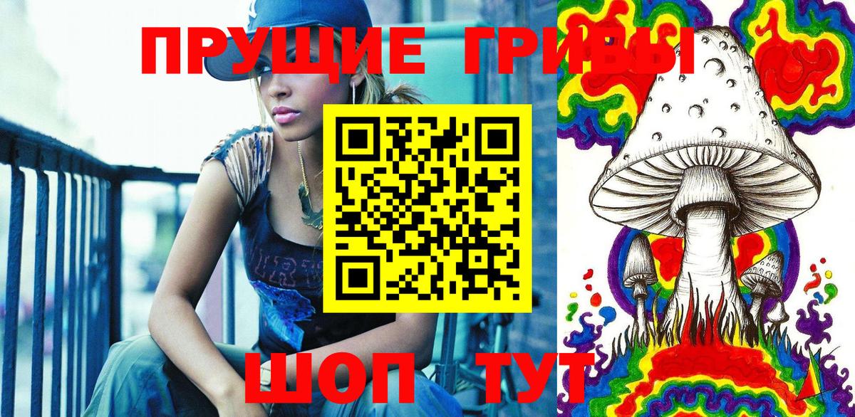 Галлюциногенные грибы Psilocybe  Вход с VPN  купить   Ивантеевка 